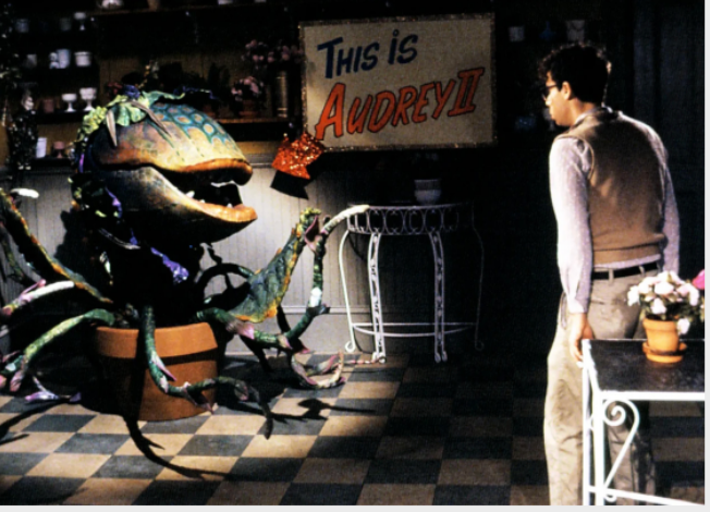 Rehearsals underway for Little Shop of Horrors